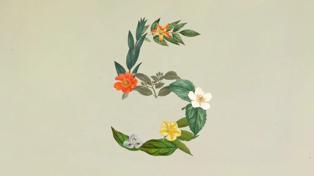 Banner Sonnet 5